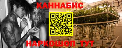 крисы Гагарин