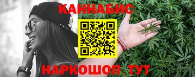 крисы Гагарин