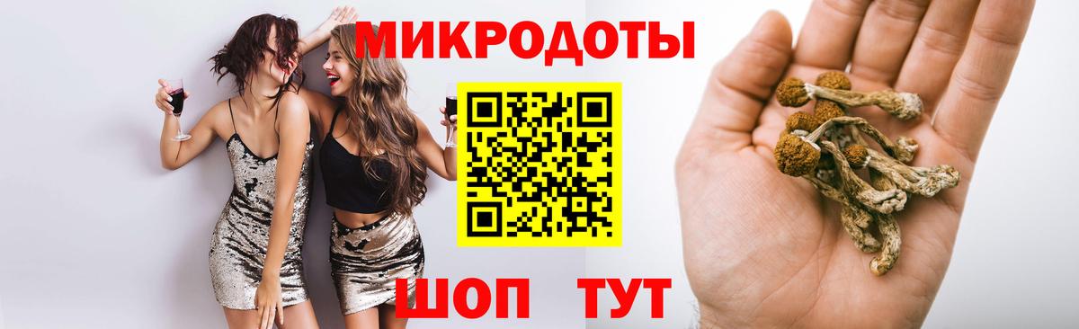 Галлюциногенные грибы Psilocybe Мытищи